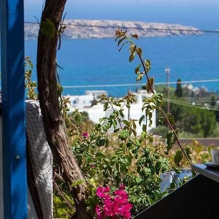 Aloe Paros Suites And Studios دريوس المظهر الخارجي الصورة