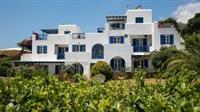 Aloe Paros Suites And Studios دريوس المظهر الخارجي الصورة