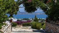 Aloe Paros Suites And Studios دريوس المظهر الخارجي الصورة